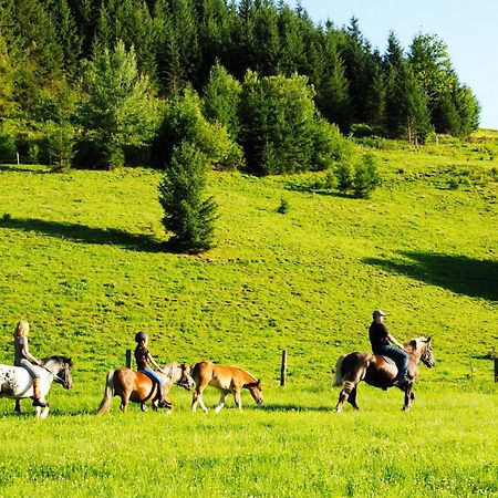 Villa Steinbachgut Flachau Esterno foto